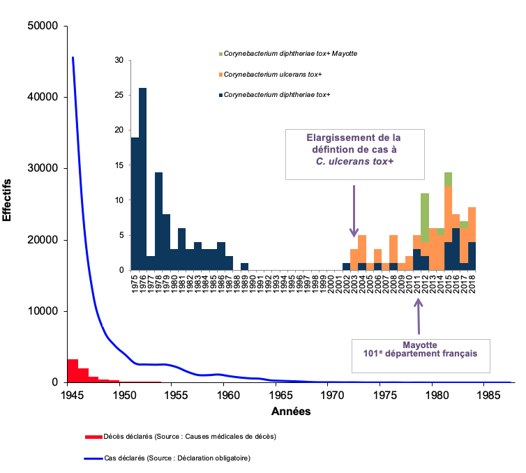 Cas de diphtérie et décès déclarés en France, 1945-2018